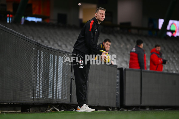 AFL 2024 Round 17 - St Kilda v Sydney - A-51674886