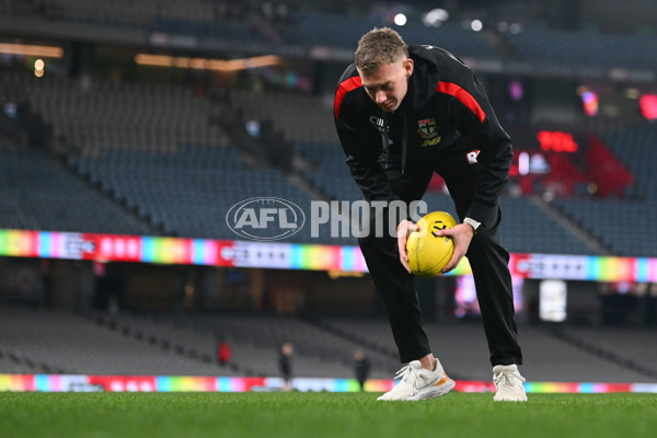 AFL 2024 Round 17 - St Kilda v Sydney - A-51674887