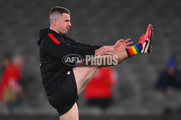 AFL 2024 Round 17 - St Kilda v Sydney - A-51674898