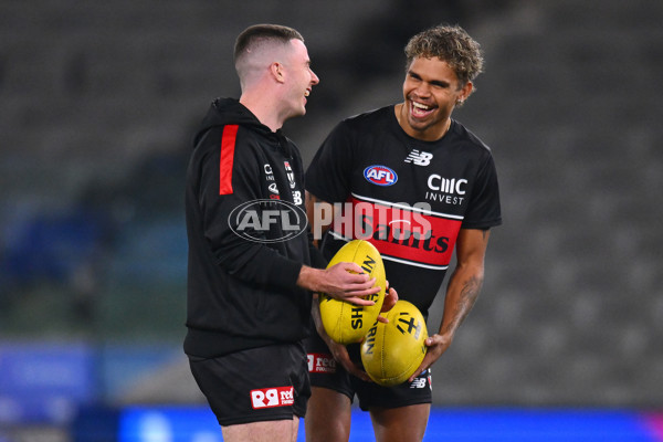 AFL 2024 Round 17 - St Kilda v Sydney - A-51674903