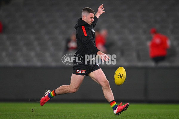 AFL 2024 Round 17 - St Kilda v Sydney - A-51674904