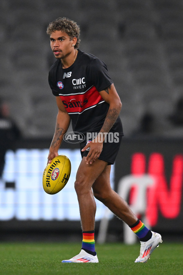 AFL 2024 Round 17 - St Kilda v Sydney - A-51674905