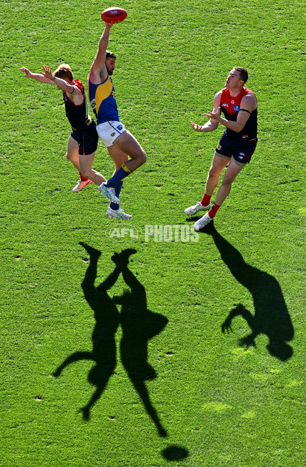 AFL 2024 Round 17 - Melbourne v West Coast - A-51677767