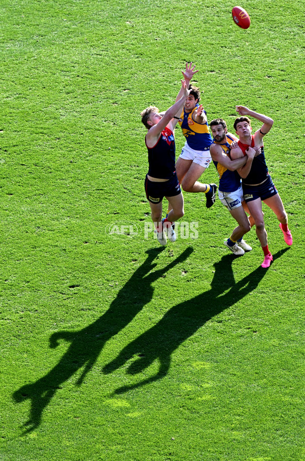 AFL 2024 Round 17 - Melbourne v West Coast - A-51677791