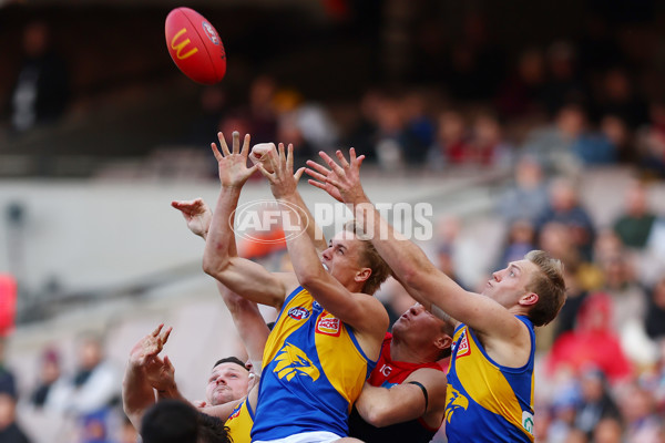 AFL 2024 Round 17 - Melbourne v West Coast - A-51677818