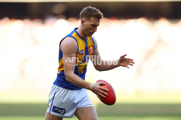 AFL 2024 Round 17 - Melbourne v West Coast - A-51677837