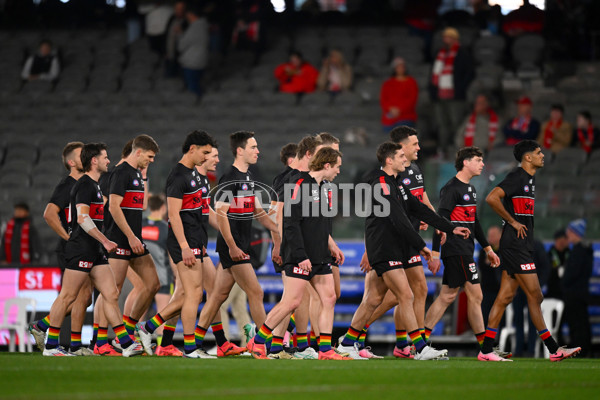 AFL 2024 Round 17 - St Kilda v Sydney - A-51678004