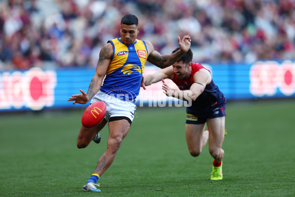 AFL 2024 Round 17 - Melbourne v West Coast - A-51678008