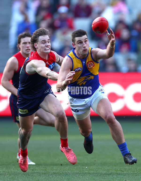 AFL 2024 Round 17 - Melbourne v West Coast - A-51680791