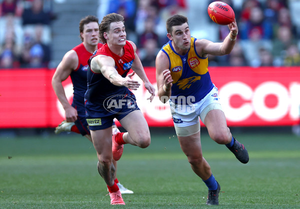 AFL 2024 Round 17 - Melbourne v West Coast - A-51680792