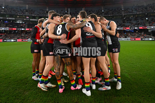 AFL 2024 Round 17 - St Kilda v Sydney - A-51680829