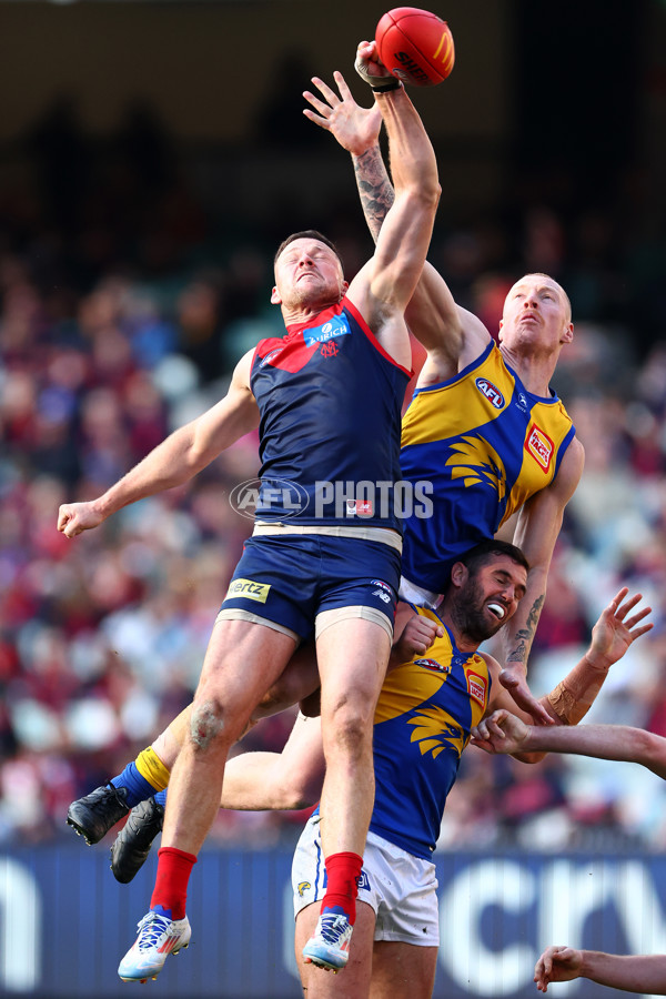 AFL 2024 Round 17 - Melbourne v West Coast - A-51683473