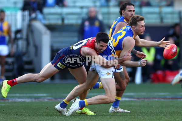 AFL 2024 Round 17 - Melbourne v West Coast - A-51683491