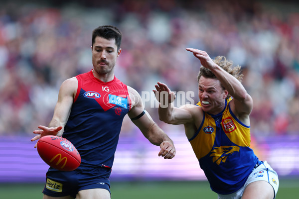 AFL 2024 Round 17 - Melbourne v West Coast - A-51683868