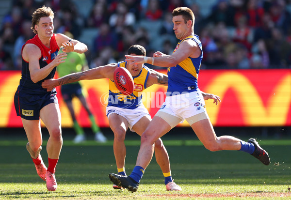 AFL 2024 Round 17 - Melbourne v West Coast - A-51683921