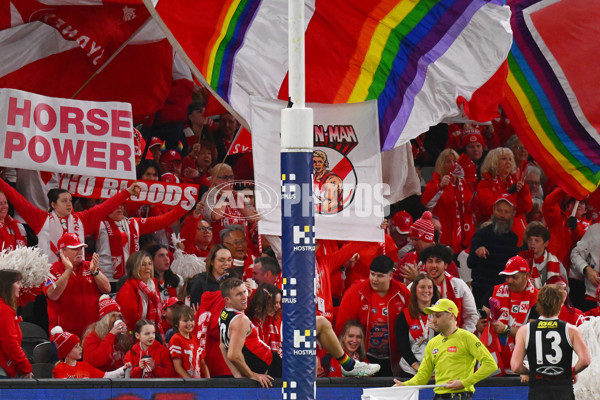 AFL 2024 Round 17 - St Kilda v Sydney - A-51689036