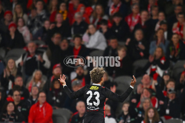 AFL 2024 Round 17 - St Kilda v Sydney - A-51692738
