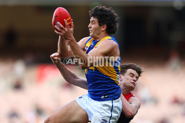 AFL 2024 Round 17 - Melbourne v West Coast - A-51695544