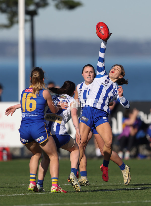 VFLW 2024 Second Semi Final - Williamstown and North Melbourne - A-51699130