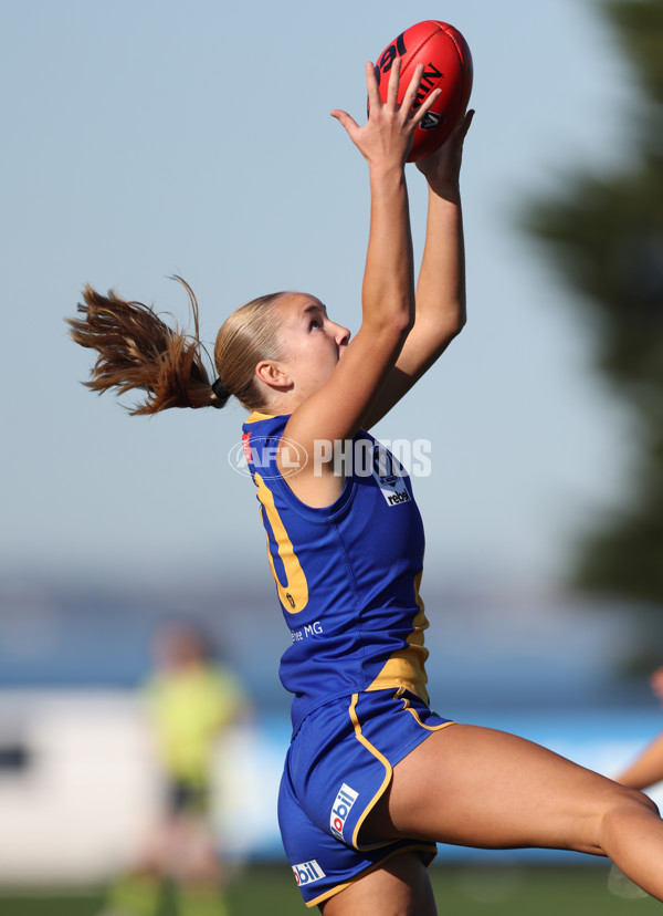 VFLW 2024 Second Semi Final - Williamstown and North Melbourne - A-51699160