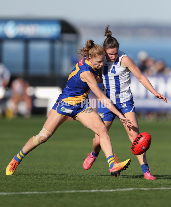 VFLW 2024 Second Semi Final - Williamstown and North Melbourne - A-51705951