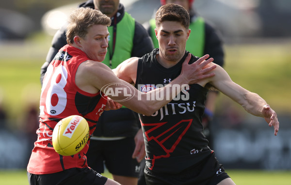 AFL 2024 Training - Essendon 100724 - A-51763382