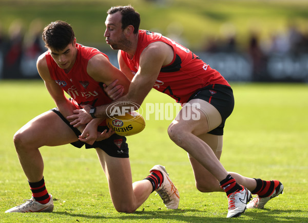 AFL 2024 Training - Essendon 100724 - A-51764260