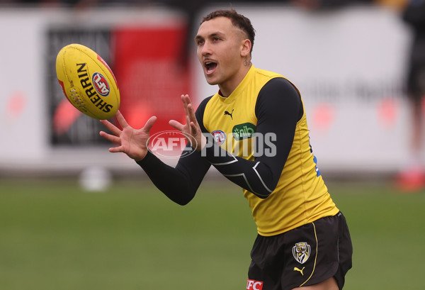 AFL 2024 Training - Richmond 110724 - A-51764300