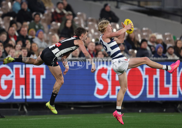 AFL 2024 Round 18 - Collingwood v Geelong - A-51786332