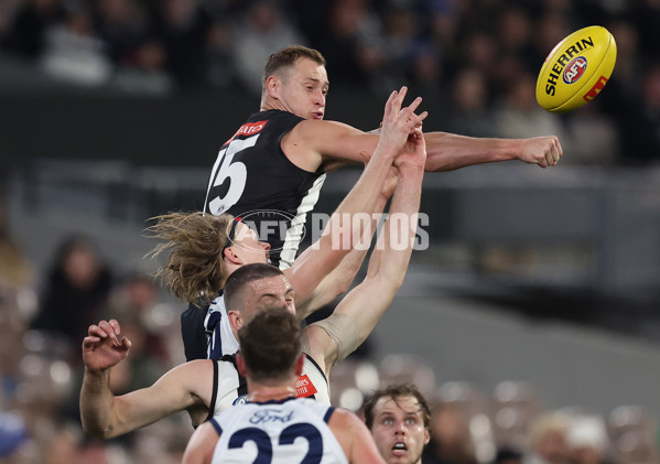 AFL 2024 Round 18 - Collingwood v Geelong - A-51788163