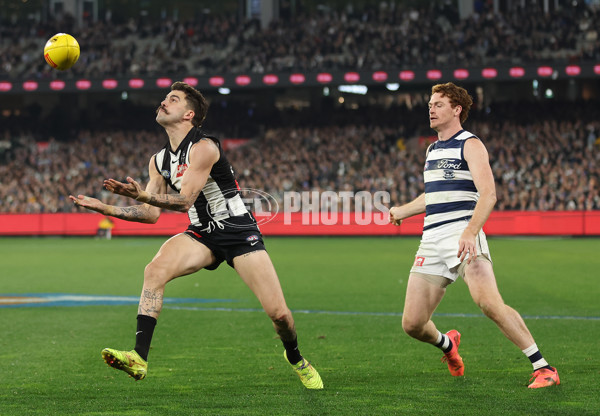 AFL 2024 Round 18 - Collingwood v Geelong - A-51788238