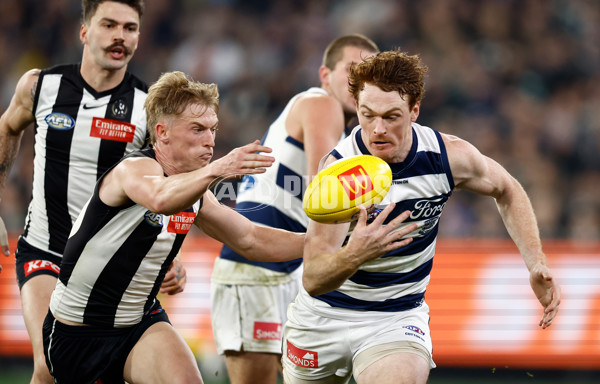 AFL 2024 Round 18 - Collingwood v Geelong - A-51788814