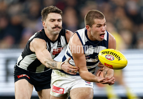 AFL 2024 Round 18 - Collingwood v Geelong - A-51788817