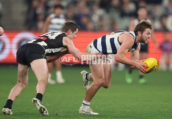 AFL 2024 Round 18 - Collingwood v Geelong - A-51790901