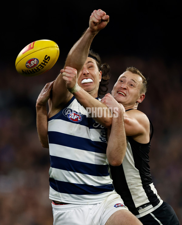 AFL 2024 Round 18 - Collingwood v Geelong - A-51790967