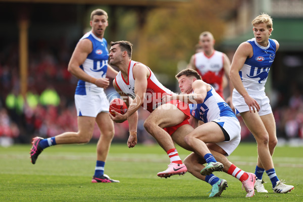 AFL 2024 Round 18 - Sydney v North Melbourne - A-51796076