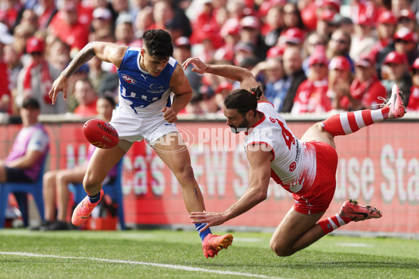 AFL 2024 Round 18 - Sydney v North Melbourne - A-51796386