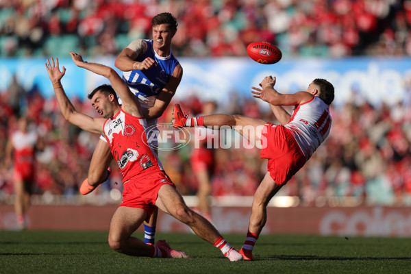 AFL 2024 Round 18 - Sydney v North Melbourne - A-51802049