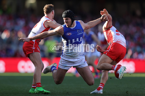 AFL 2024 Round 18 - Sydney v North Melbourne - A-51804526