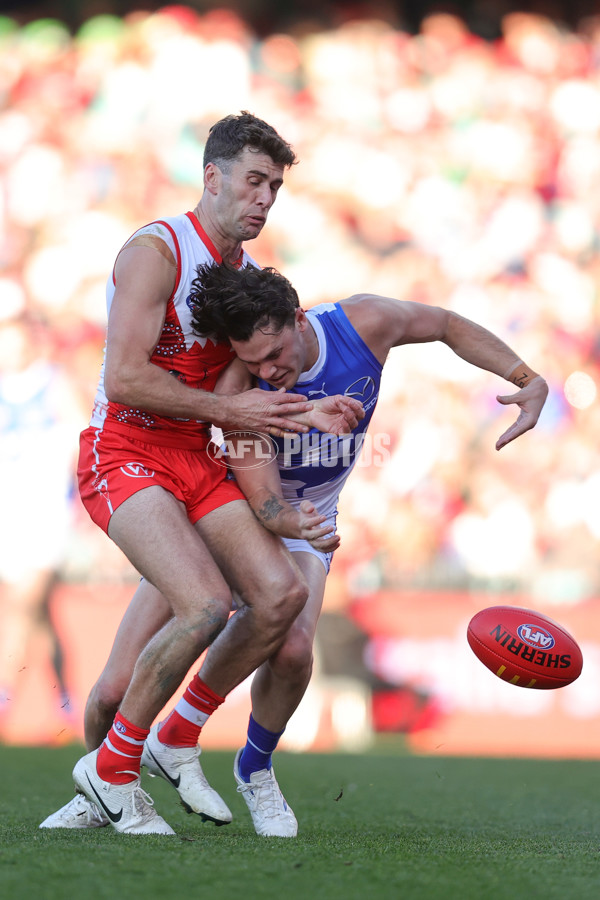 AFL 2024 Round 18 - Sydney v North Melbourne - A-51805129