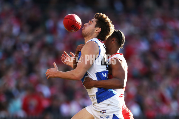 AFL 2024 Round 18 - Sydney v North Melbourne - A-51805140