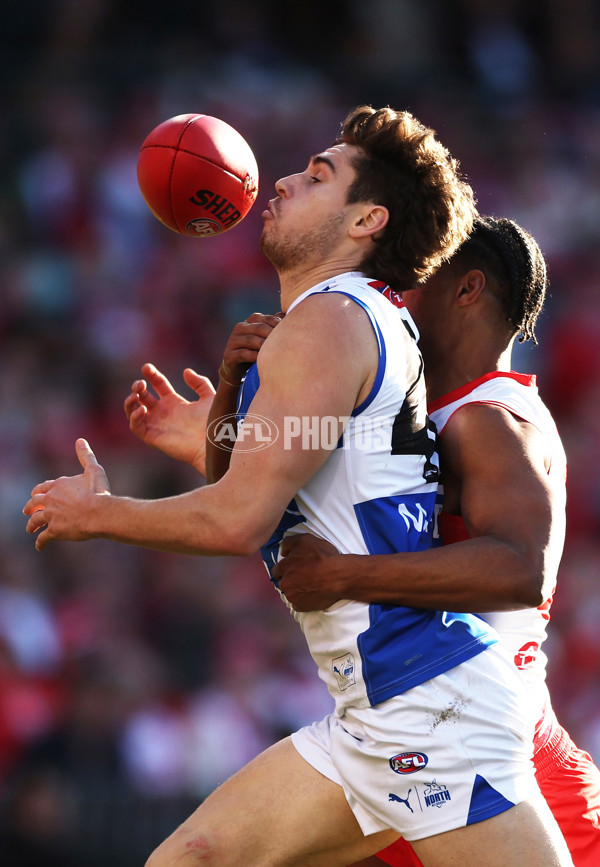 AFL 2024 Round 18 - Sydney v North Melbourne - A-51805141