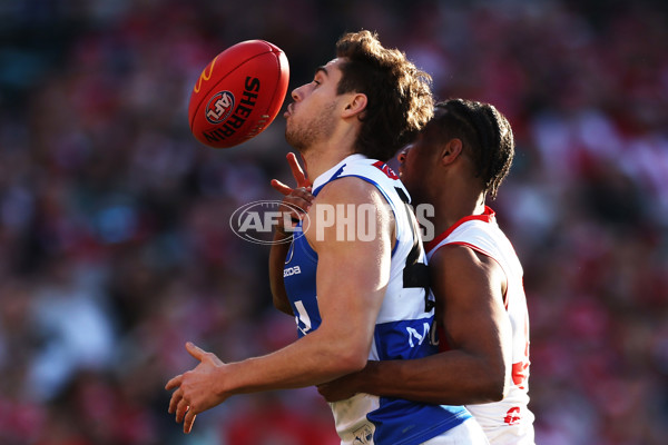 AFL 2024 Round 18 - Sydney v North Melbourne - A-51807595