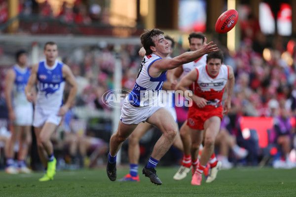 AFL 2024 Round 18 - Sydney v North Melbourne - A-51811211