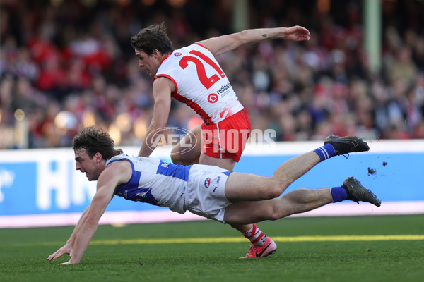 AFL 2024 Round 18 - Sydney v North Melbourne - A-51811212