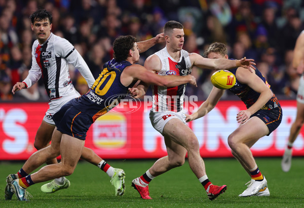 AFL 2024 Round 18 - Adelaide v St Kilda - A-51819158