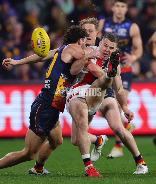 AFL 2024 Round 18 - Adelaide v St Kilda - A-51819259