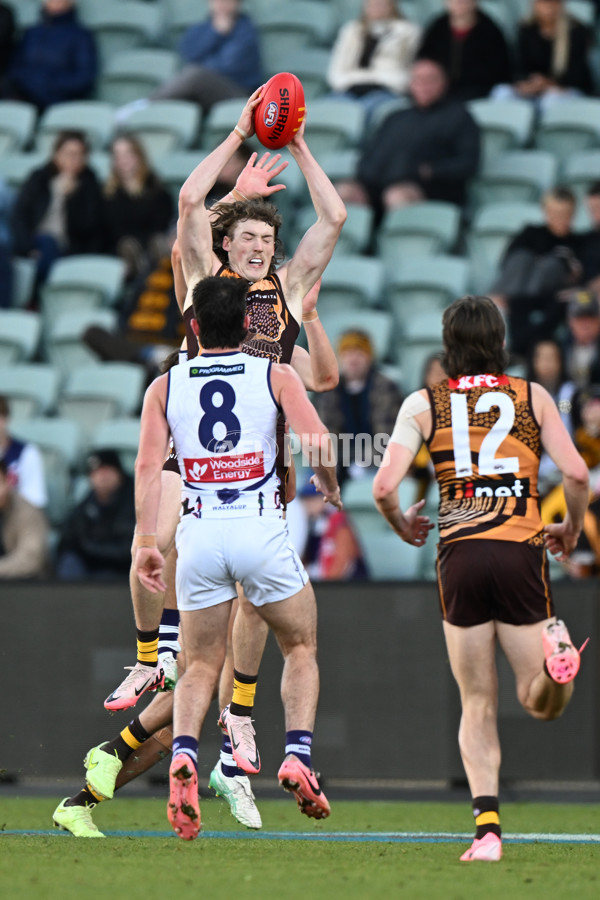 AFL 2024 Round 18 - Hawthorn v Fremantle - A-51821815