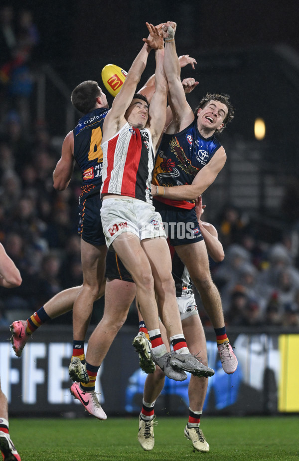 AFL 2024 Round 18 - Adelaide v St Kilda - A-51821861