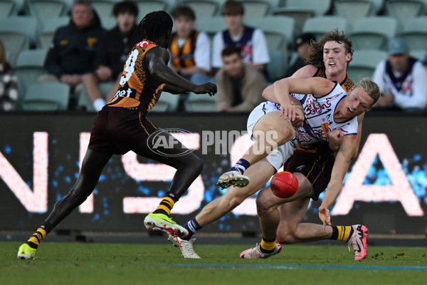 AFL 2024 Round 18 - Hawthorn v Fremantle - A-51821989